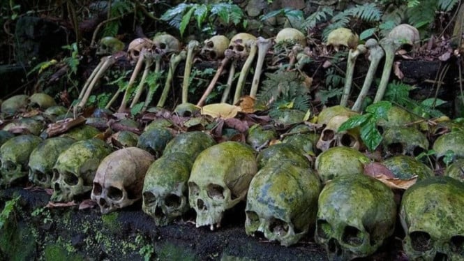 Deretan tengkorak di Desa Trunyan, saksi tradisi pemakaman terbuka yang masih lestari di Bali