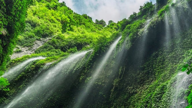 Wisata air terjun Madakaripura
