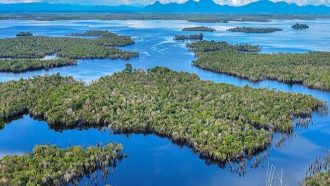 Wisata alam danau sentarum yang masih alami