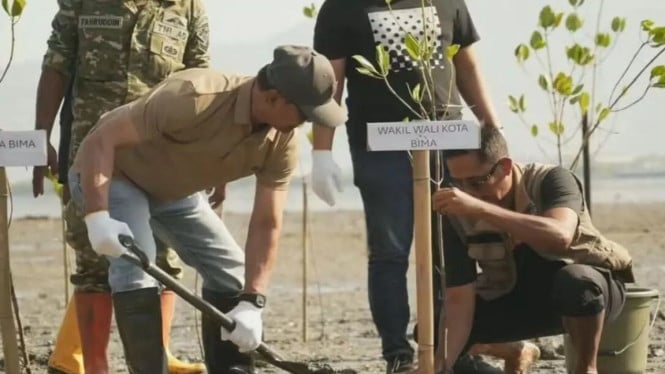 Wakil Walikota Bima pimping penanaman bibit mangrove di pantai Lawata