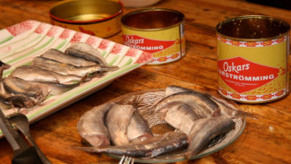 Wisata Kuliner Antimainstream Kenali Surströmming Makanan Khas Swedia