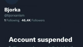 Baru Bikin, Akun Twitter Bjorka Ditangguhkan Lagi