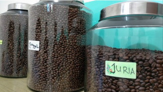 Mengenal Lembah Colol NTT, Inilah Surga untuk Kopi Dunia