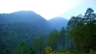 Photo Mini 3