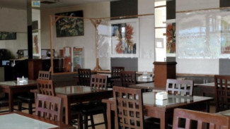 Photo Mini 2