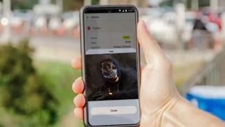 Awas HP Anda Disadap Begini Cara Mudah Mengamankan Instagram