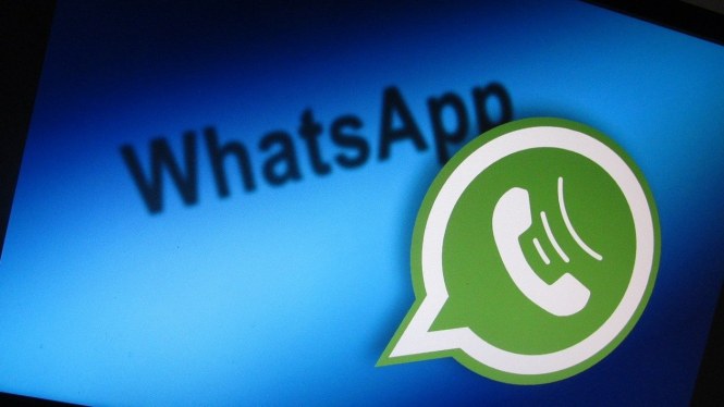 Link Donwload GB WhatsApp Pro Versi 13.5