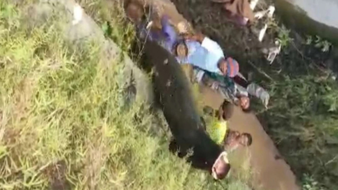 Warga di Garut temukan ikan raksasa di parit