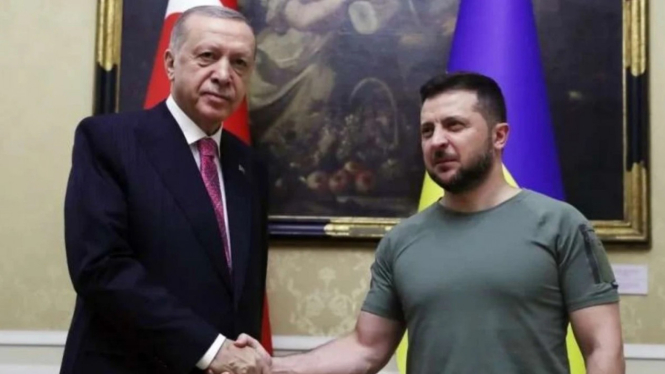 Recep Tayyip Erdogan dan Volodymyr Zelensky