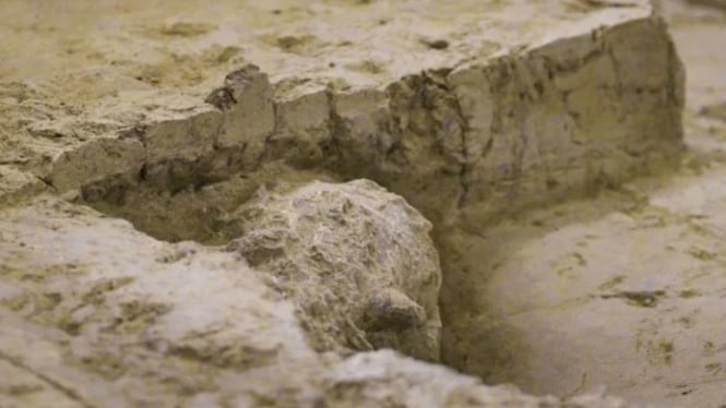 Fosil tengkorak manusia ditemukan di China