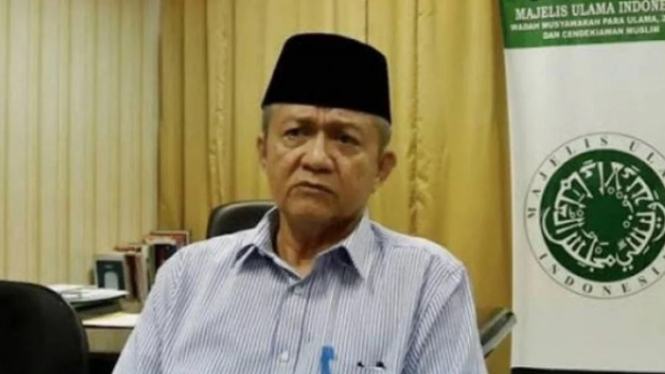 Wakil Ketua MUI, Anwar Abbas