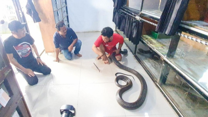 Kang Dedi Mulyadi di rumah Panji Petualang