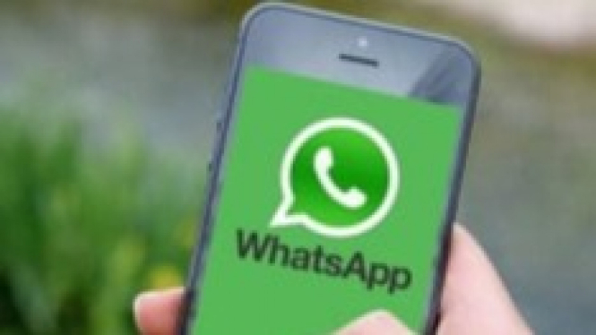 Aplikasi WhatsApp di handphone