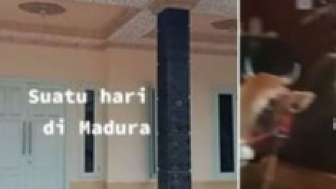 Rumah Mewah di Madura jadi Kandang Sapi