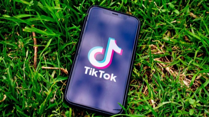 Ilustrasi download video TikTok