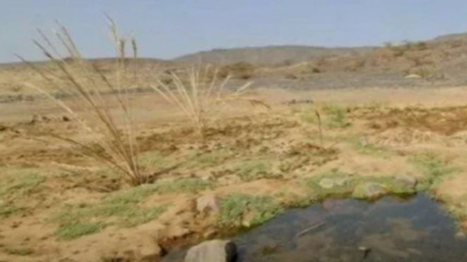 Mata Air Bermunculan di Tengah Gurun Arab Saudi