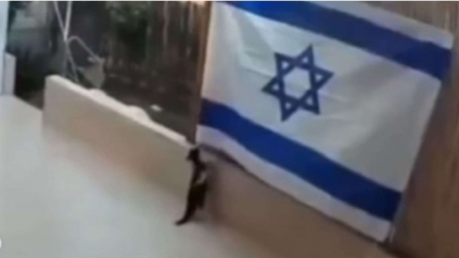 Kucing Hitam copot bendera Israel