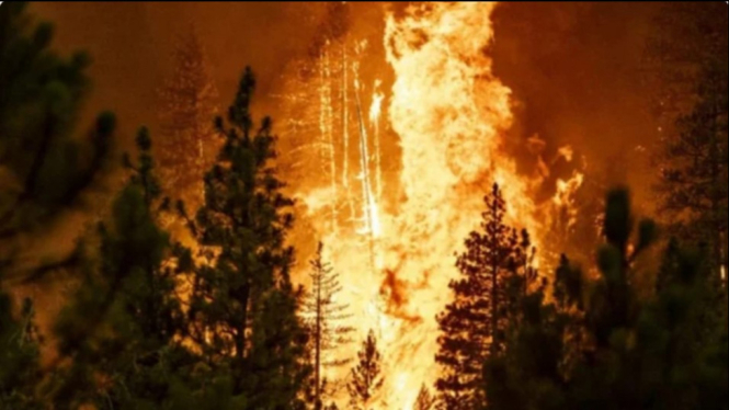 Kebakaran Hutan Kanada