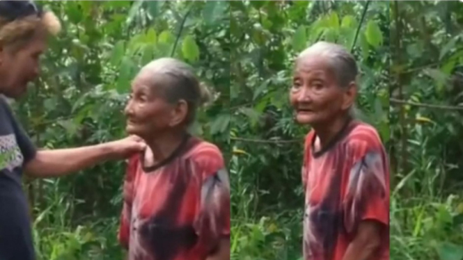 Nenek yang Dituduh Mencuri Kelapa