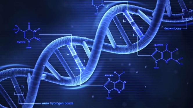 teknologi genomik, DNA