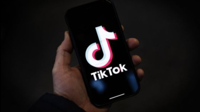 ilustrasi pengguna tiktok