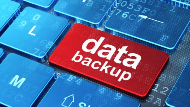 Backup data