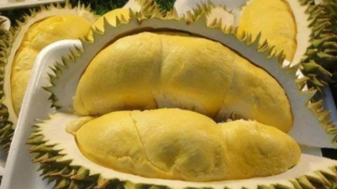 Memilih durian matang