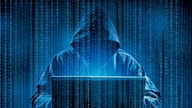 Hacker