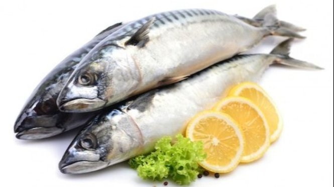 Ikan