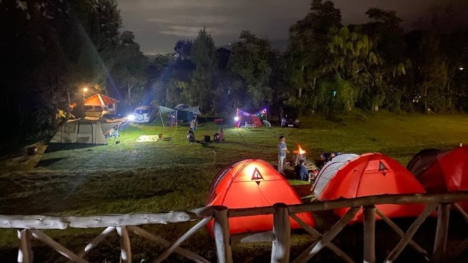 Pine Forest Camp