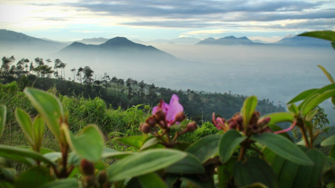 Gunung Manglayang