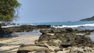 BMKG Meminta Warga Banten Selatan Waspada Gelombang 4 Meter di Pesisir Pantai