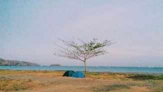 Photo Mini 3