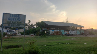Banyak Lalat Hijau dan Bau Menyengat hingga Balita Sakit, Warga Minta TPS3R di Kota Serang Ditutup