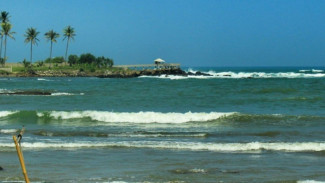 Photo Mini 3