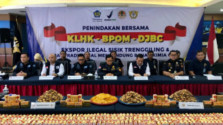 53 Kg Sisik Trenggiling Diselundupkan Lewat Pengiriman Keripik Singkong Menuju Hongkong