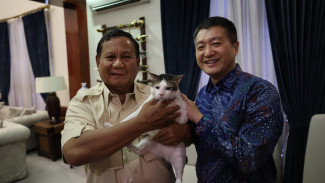 Momen Kucing Bobby Temani Prabowo Terima Kunjungan Dubes Tiongkok di Kertanegara
