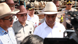 Cek Ketersediaan Sapi, Mentan : Dukung Pangan Bergizi