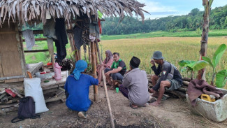 Panen Melimpah, Petani Lebak Curhat ke Relawan Andra Soni: Minta Irigasi dan Tiang Listrik untuk Sumur Bor