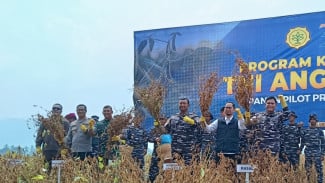 TNI AL Bersama Peneliti Kembangkan Kedelai Jenis Baru untuk Ketahanan Pangan Nasional