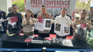 2 Petugas Avsec Kargo Diamankan Usai Bantu Penyelundupan Ratusan Ribu Benih Lobster di Bandara Soetta