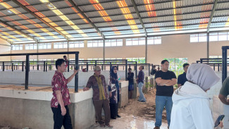 Dituding Minta Duit dari Kontraktor, Kajari Tolitoli: Faktanya Saya yang Dimintain Duit