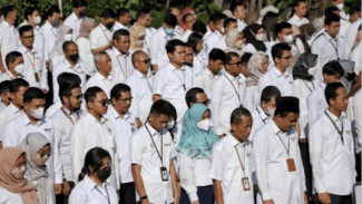 Gaji PPPK Paruh Waktu 2025 Tembus UMR, Solusi Aman Honorer Jadi ASN dengan Skema Kontrak Fleksibel