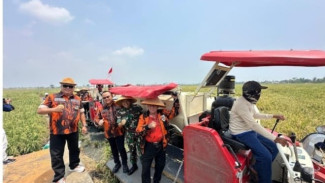 Pemuda Pancasila Banten Gandeng TNI dan Pemkot Serang Gelar Panen Raya, Japto Soerjosoemarno Turun Langsung