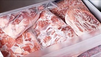 Perkumpulan Pemuda Keadilan Minta KPK dan Kejagung Dugaan Kongkalingkong Impor Daging Beku