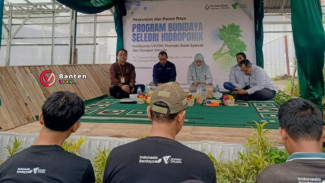 Panen Perdana Seledri Hidroponik di Banten, Dompet Dhuafa dan Permata Bank Syariah Dorong Lahirnya Petani Mandiri