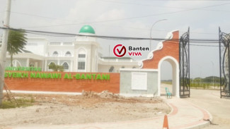 Dosen Mengaku Di-PHK Usai Tagih Gaji Berbulan-bulan di UNSB, Singgung Minimnya Komunikasi Pimpinan Kampus