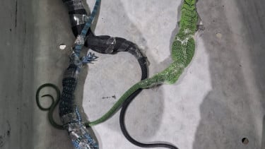 img_title