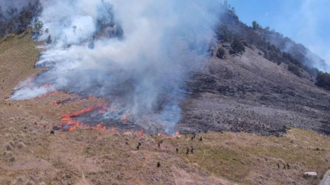 Kebakaran Gunung Bromo. (Sumber; Viva.co.id).