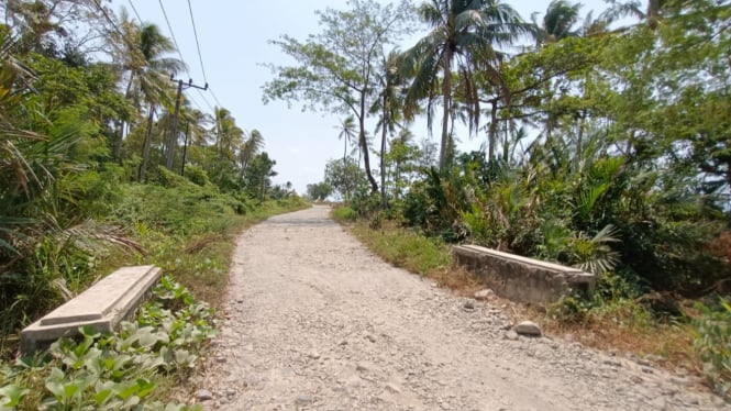 Akses Jalan Menuju Taman Nasional Ujung Kulon.